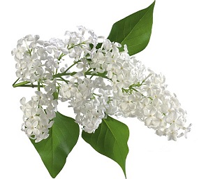 Не хочу тебя звать по имени