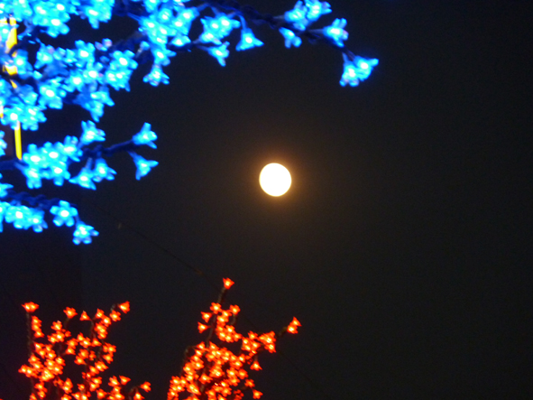 Ты не одна в ночи, луна! Дню Любви