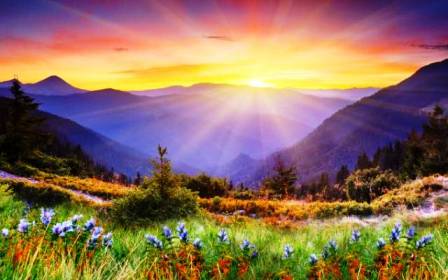 Отзвуки Дальних Миров...