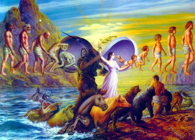 Жизнь и Смерть