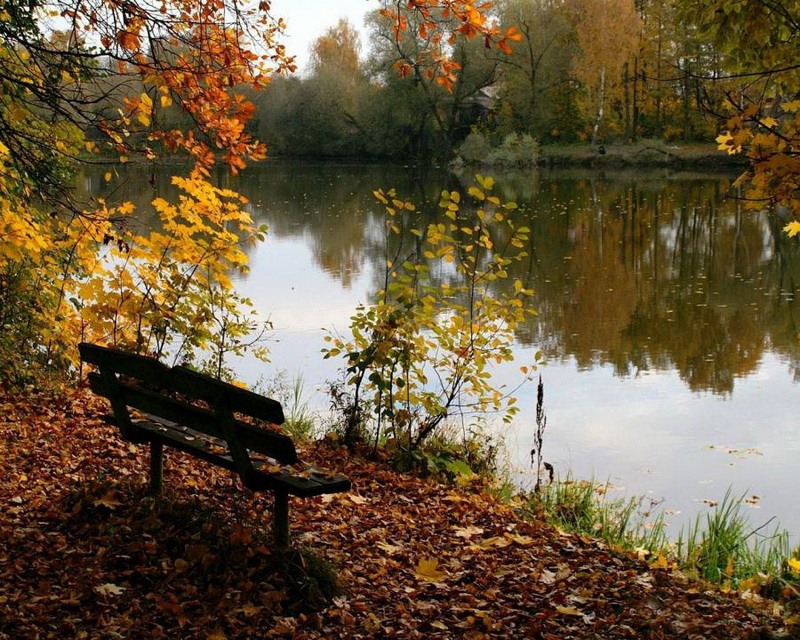 Осень