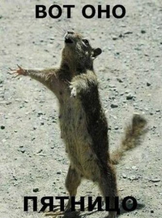 Вот оно - блаженство...