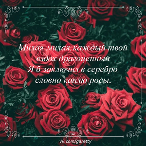Ночь... Моя ночь!..