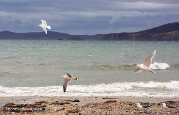 Люблю гулять у моря
