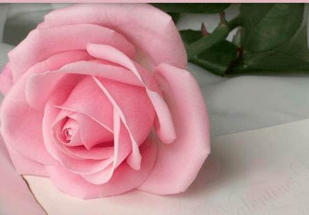 С праздником, дорогие мужчины!