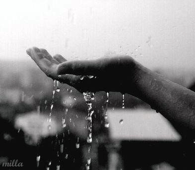 Созерцателю о любви