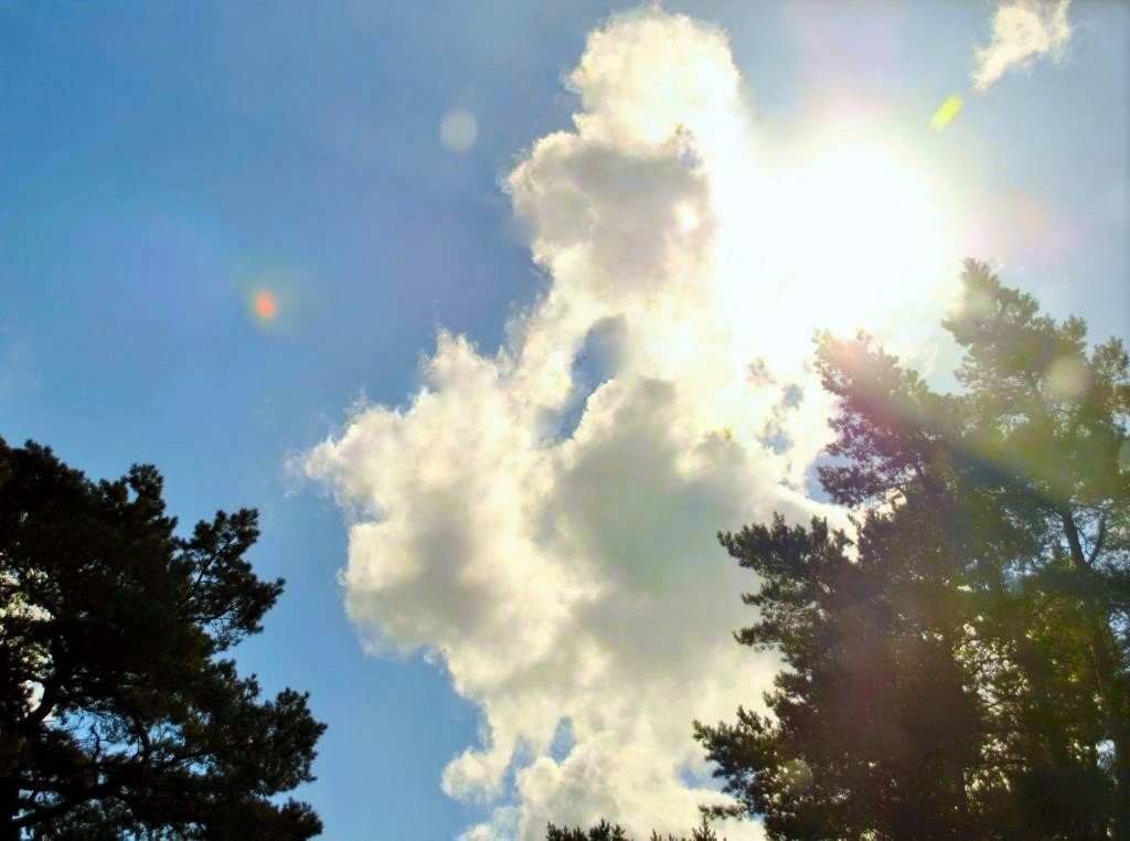 14 Большой секрет Маленьких