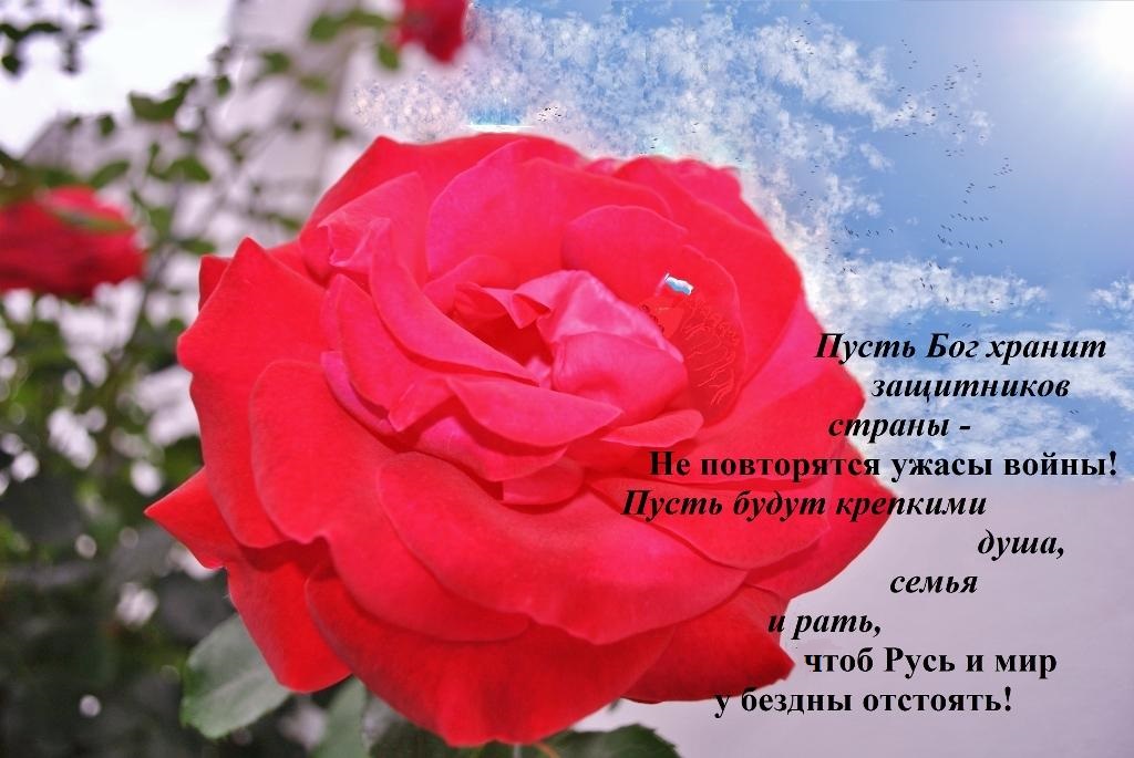 Защитникам Отечества