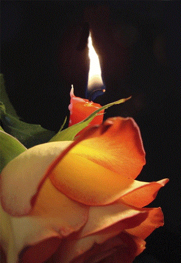 Мысли в ночи