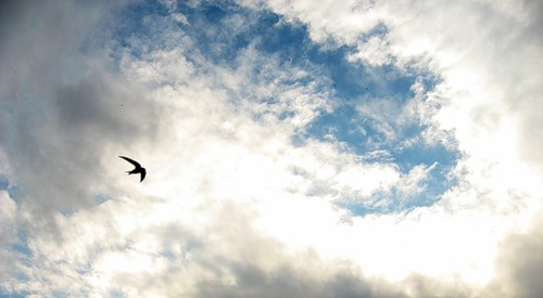 Целуя небо...