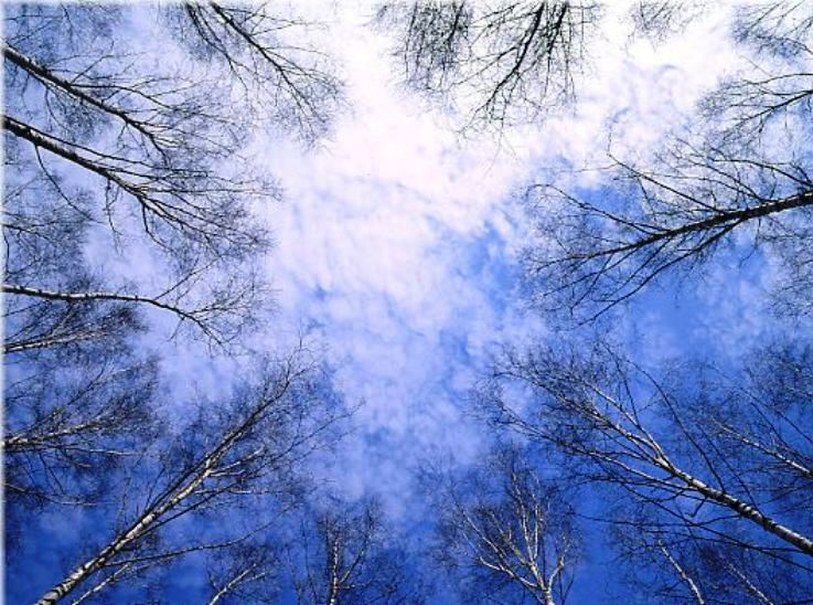 уж ожиданием душа томится