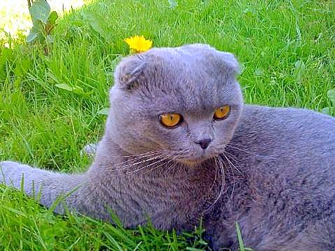 На солнечной поляночке