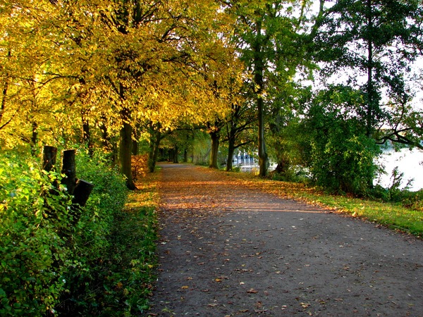 Начало осени