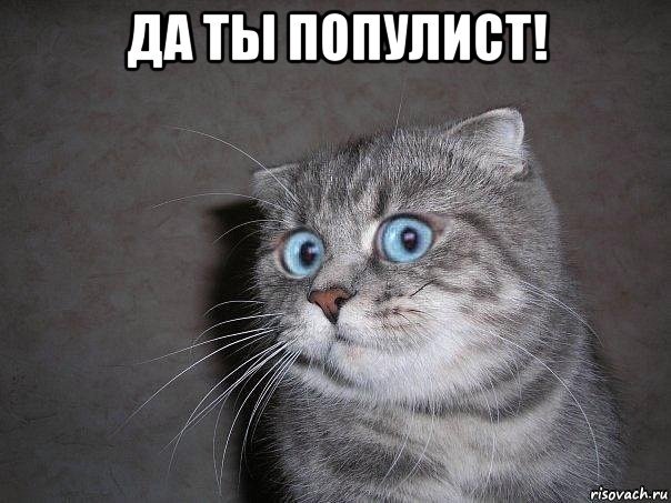 941 Котовы напевы