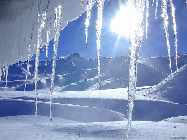 Леденцы весенние