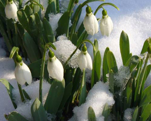 Нас с тобою весна закружила