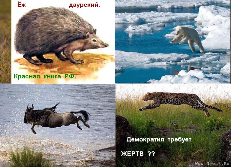 Демократия всё время требует жертв