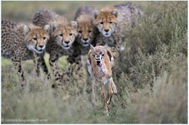 Острое инакомыслие опасно!
