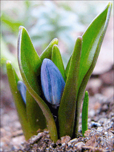 завтра выйдет такой, как ты любишь