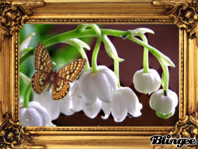 Ранние ландыши