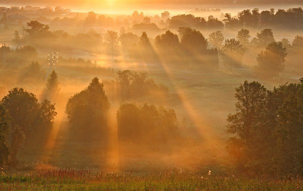 Весенний Вечер