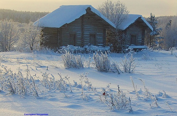 Рассыпались белой порошей...