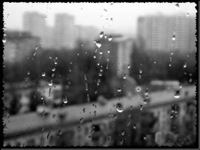 Неужели мне себя не жалко?