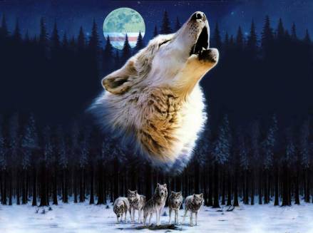 Стой мерзавец