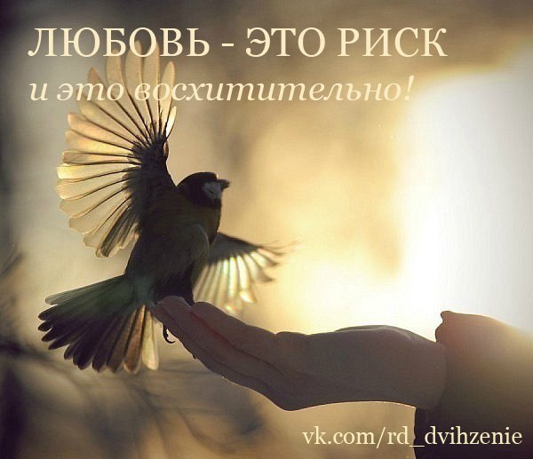 188. Любовь такая птичка-невеличка