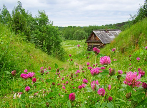 Поэт и баня. О поэте Краснобаеве-19