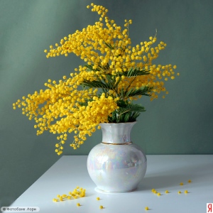 Девчоночье праздничное