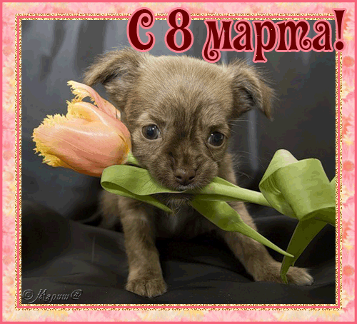 С праздником, девочки!