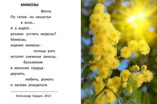 Загадка про мимозу. Стих про мимозу. Стихи про мимозу и весну. Стих про мимозу цветок. Детский стих про мимозу.