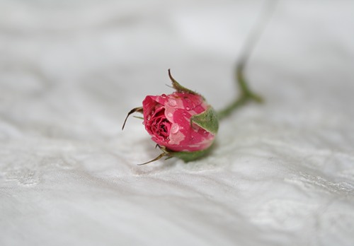 Показалось