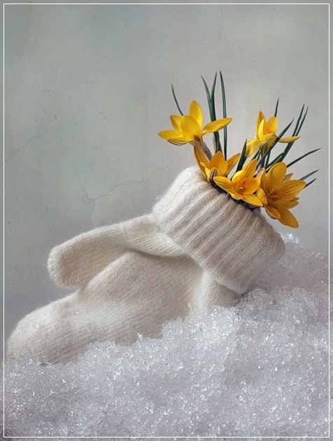 Всё теплей весны ладошки... Мартовская лирика