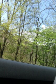 Татьяне Кузнецовой-4