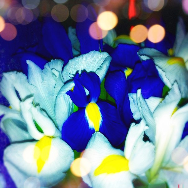 РАдость Цвета...