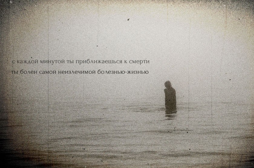 ну куда уж. мем ну куда. ну куда уж. хочу стать лучше. кот ждет весну.