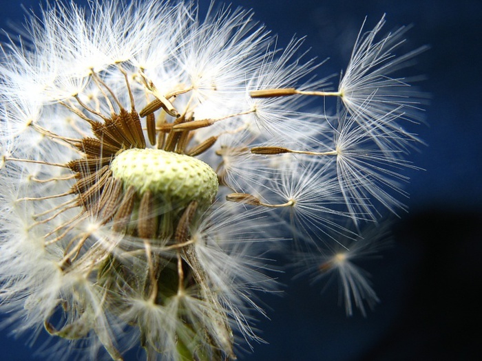 Наблюдение