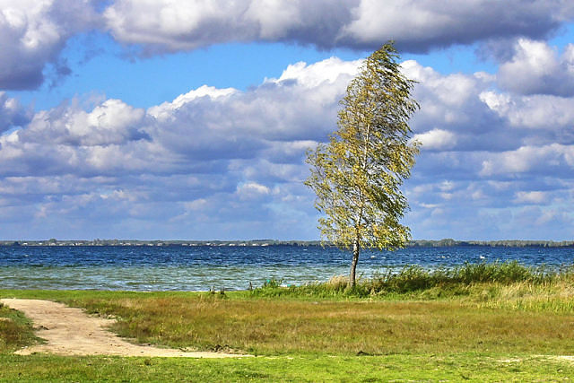 Ветер горемыка