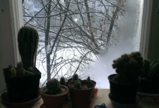 Привет из осени вчерашней...