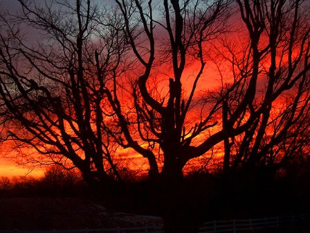 Ранковий палiндром