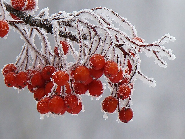 Красное и белое