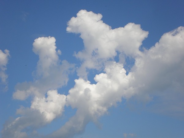 Спешат опять куда-то облака...