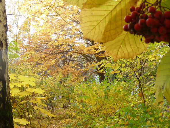Памяти А. С. Пушкина! Дню Поэзии