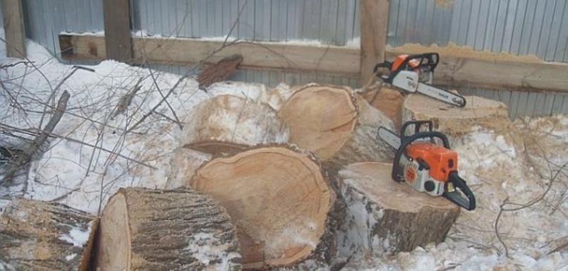 На пуржисто-заснеженном фоне