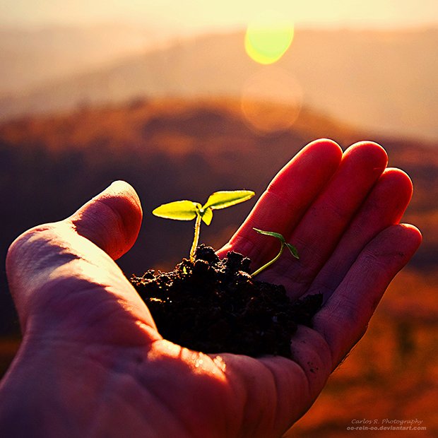 Медовый аромат