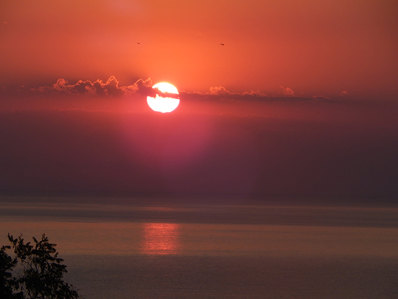 Живи сегодня и сейчас! Жизнерадостные нравоучения!