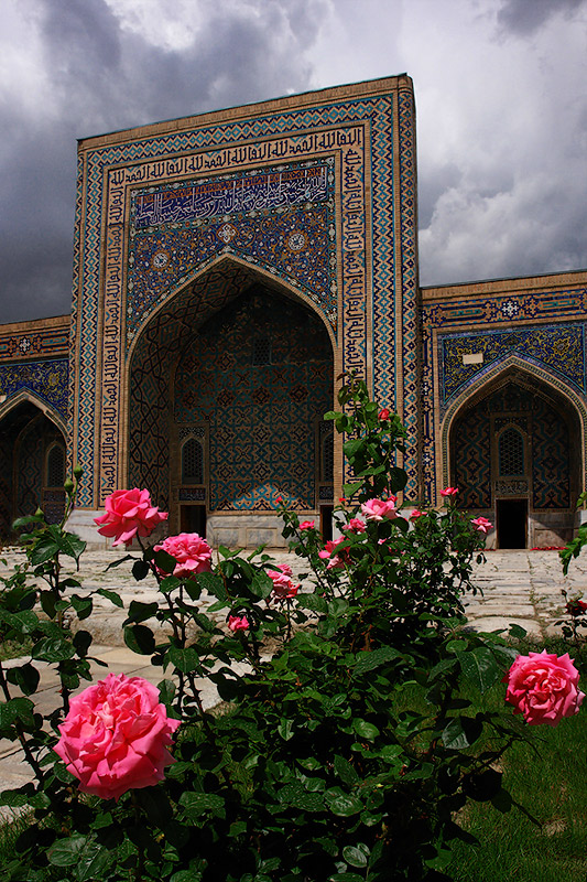 Узбекские розы. Узбекистан Самарканд Цветущий.