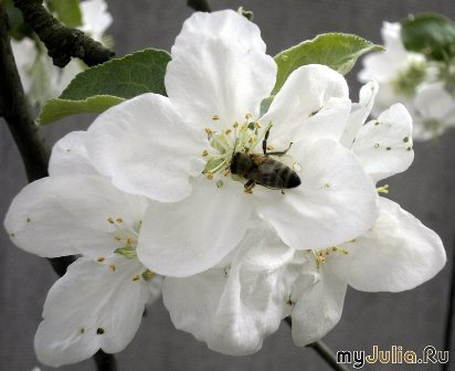 Каждый день - всё вновь...